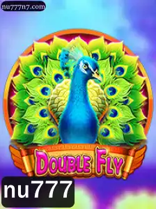 Explorando o Mundo de DoubleFly: Regras e Estratégias do Jogo